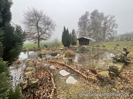 Teich mit Blockhaus