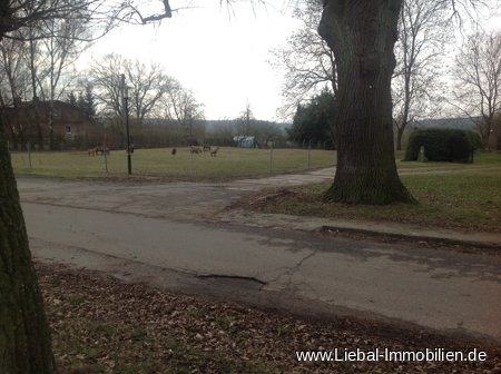 Straße vor dem Grundstück 