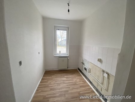 Beispiel renovierte Küche