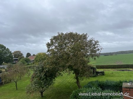 Ausblick OG Ausblick OG