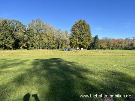Wiese beim Spielplatz  Wiese beim Spielplatz