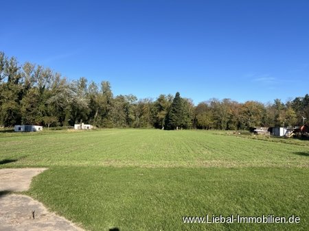 Wiese beim Spielplatz  Wiese beim Spielplatz