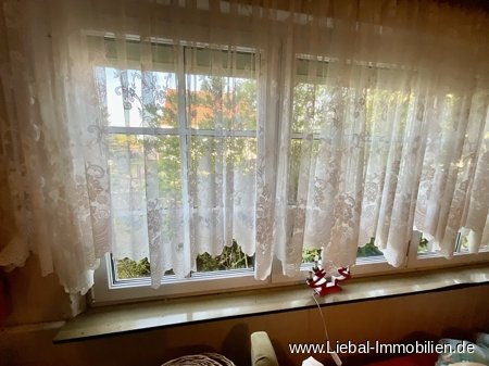Fenster Wohnzimmer