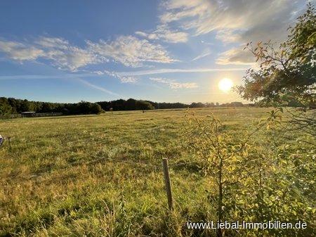 Blick vom Grundstück