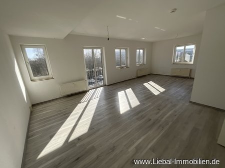 Neubrandenburg: Große Drei-Raumwohnung, renoviert ! 