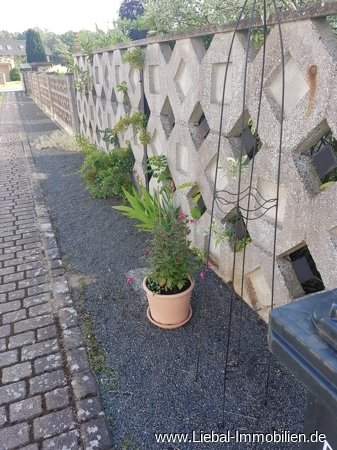 im Frühling im Frühling