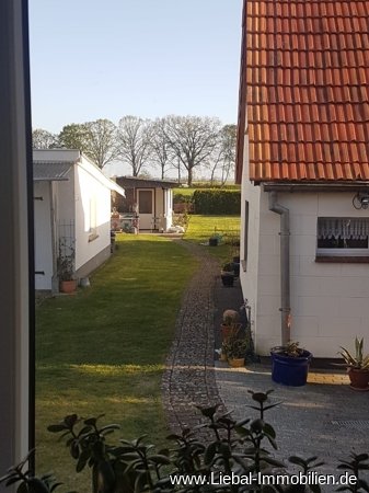 im Frühling im Frühling