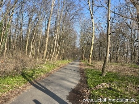 Treptowerpark