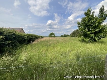 Torgelow: Top Baugrundstück, voll erschlossen, bei Torgelow ! 