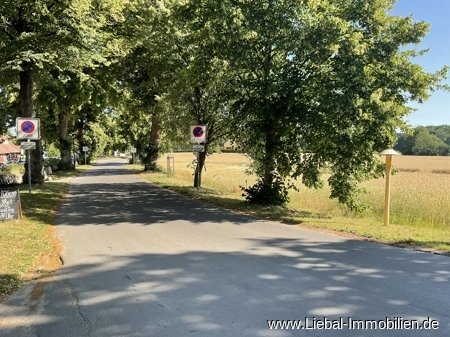 Mellenthin: Baugrundstücke Usedom in landschaftlich reizvoller Region !!! 
