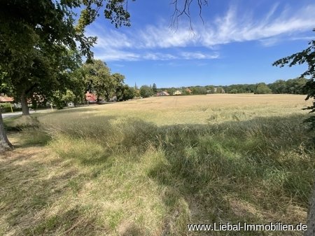 Ansicht nach Mellenthin 