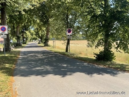 Zufahrt 