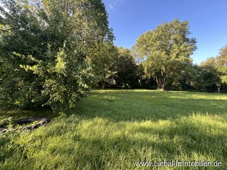 Schlosspark Schlosspark