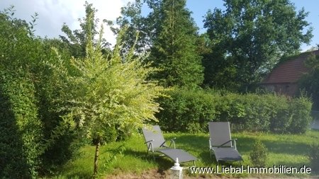Blick in Garten Blick in Garten