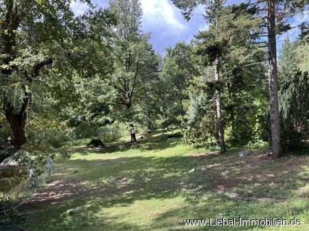 Park in der Nähe Park in der Nähe