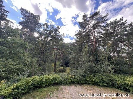 Park in der Nähe Park in der Nähe