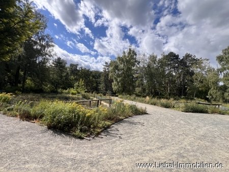 Park in der Nähe Park in der Nähe